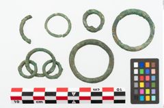 Foto von Bronzering (NHMW-PRAE-002236)